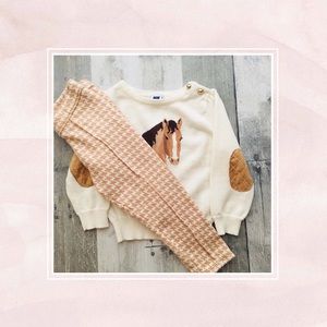 ❌SOLD❌ Janie and Jack Carriage House Outfit 18-24m
